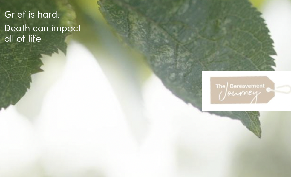 Screenshot 2026-01-23 at 17.33